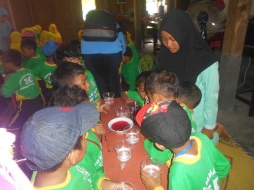 DSCN3451